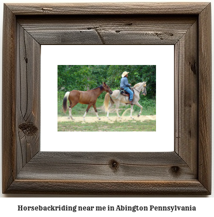 horseback riding near me in Abington, Pennsylvania